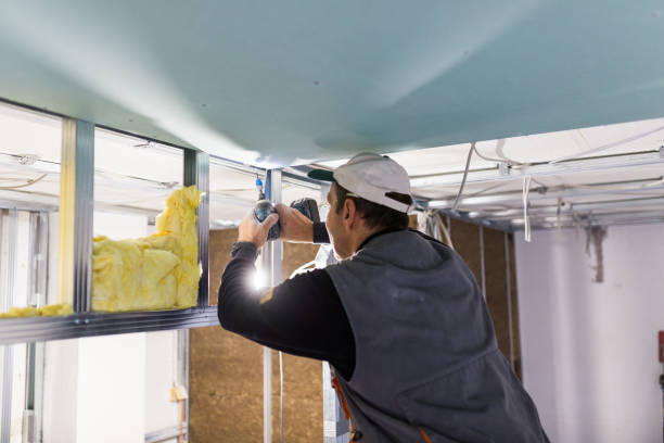 Best Geographic-Specific Insulation Services in West Point, GA